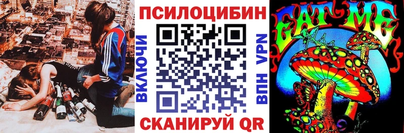 hydra ссылка  Куровское  Галлюциногенные грибы прущие грибы 