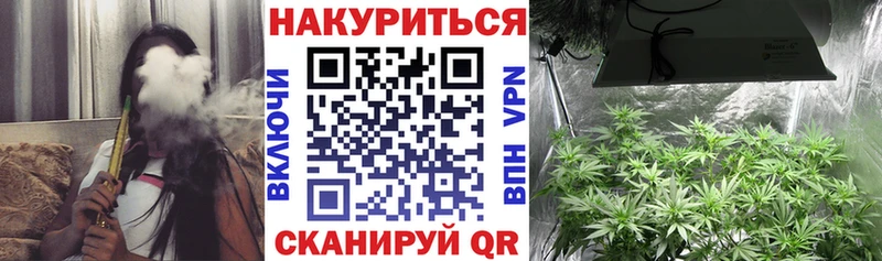 omg ссылки магазин продажи Куровское Марихуана гибрид